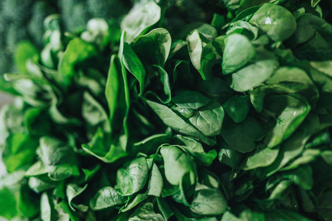 Folic acid