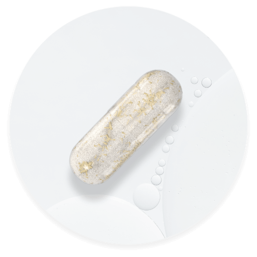 Vitl supplement capsule