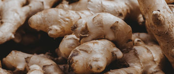 Ginger Root