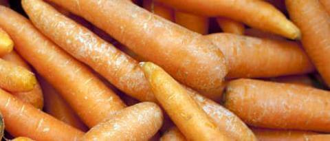 Beta Carotene